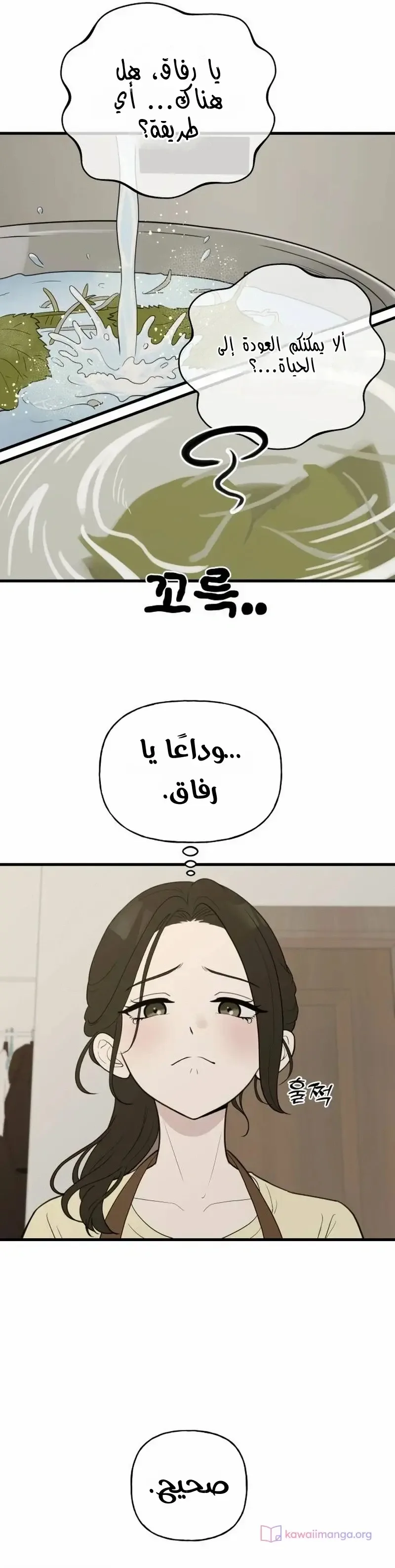 الصفحة 17