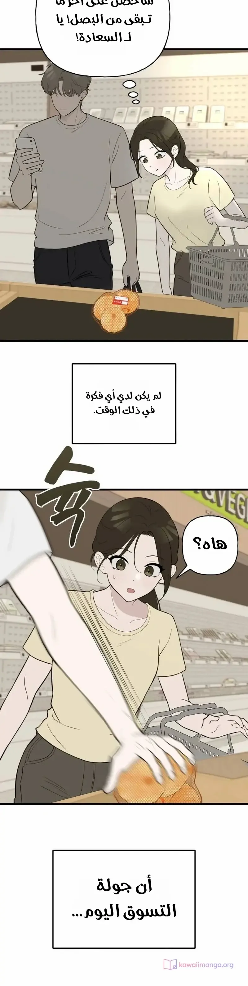 الصفحة 19