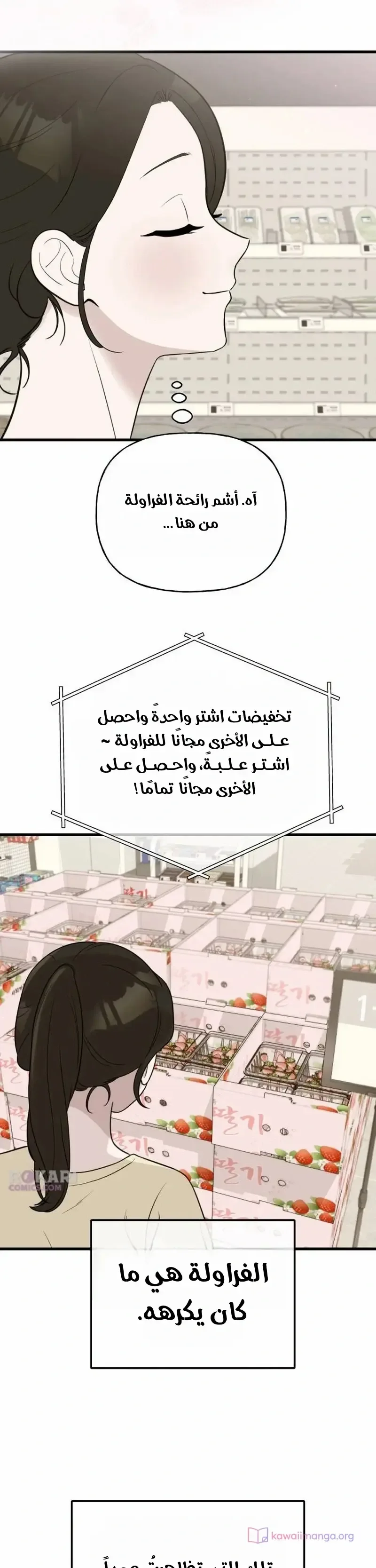 الصفحة 14
