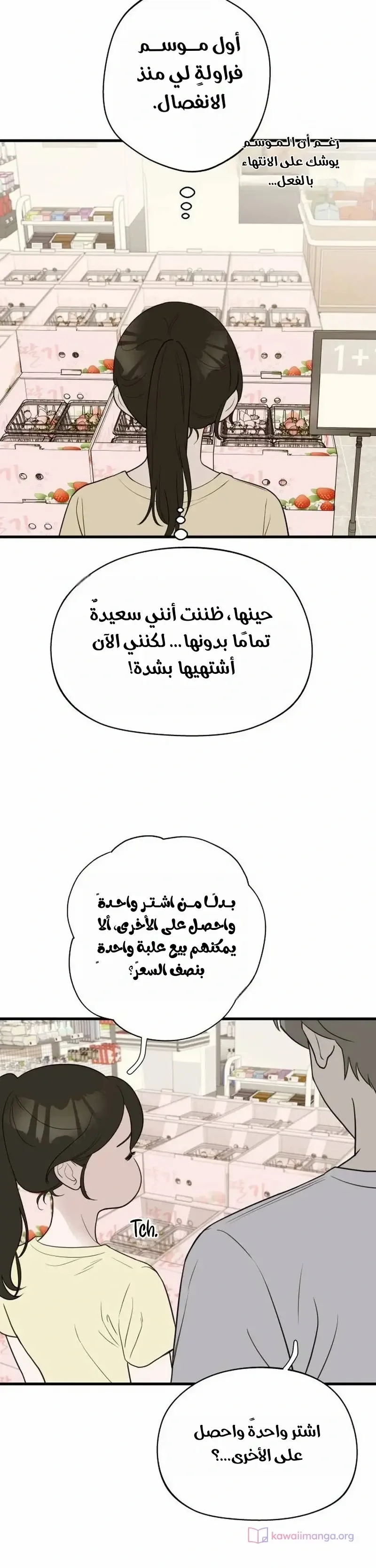 الصفحة 16