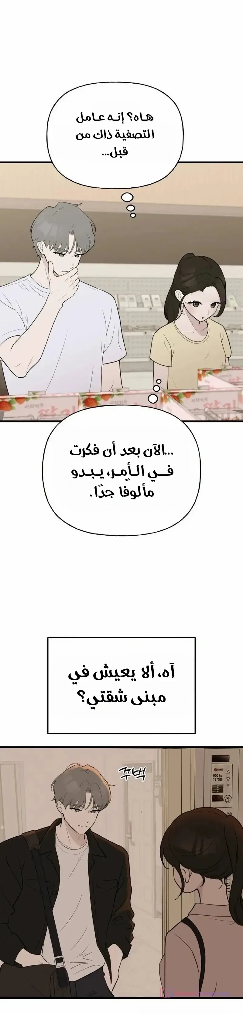 الصفحة 17