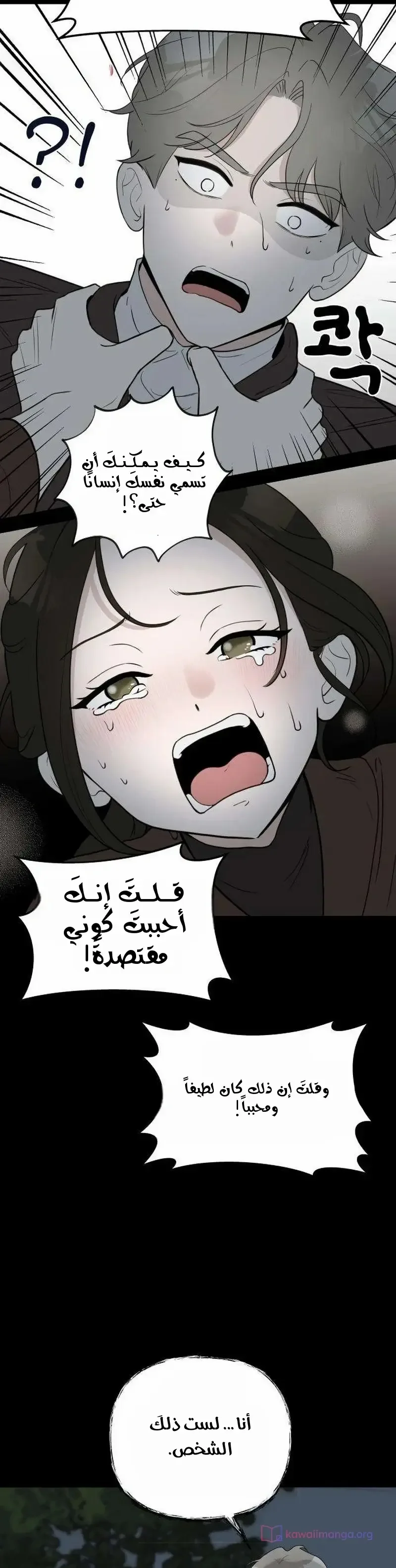 الصفحة 12