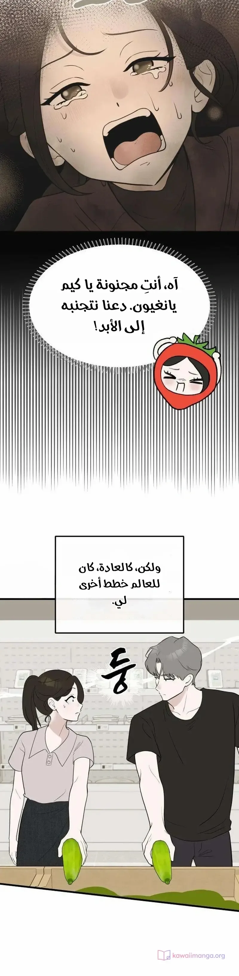 الصفحة 19