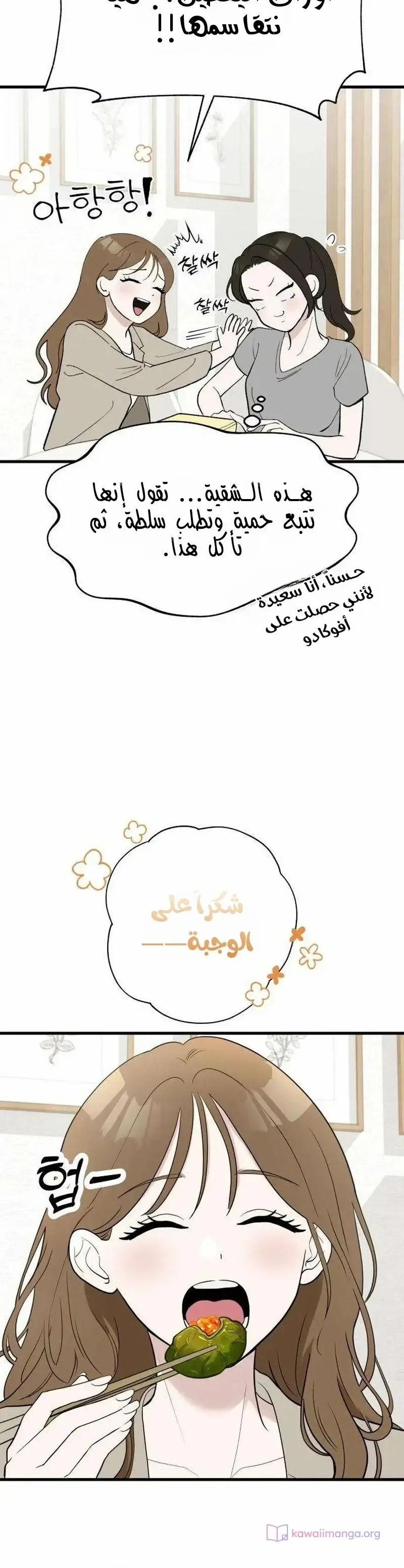 الصفحة 13