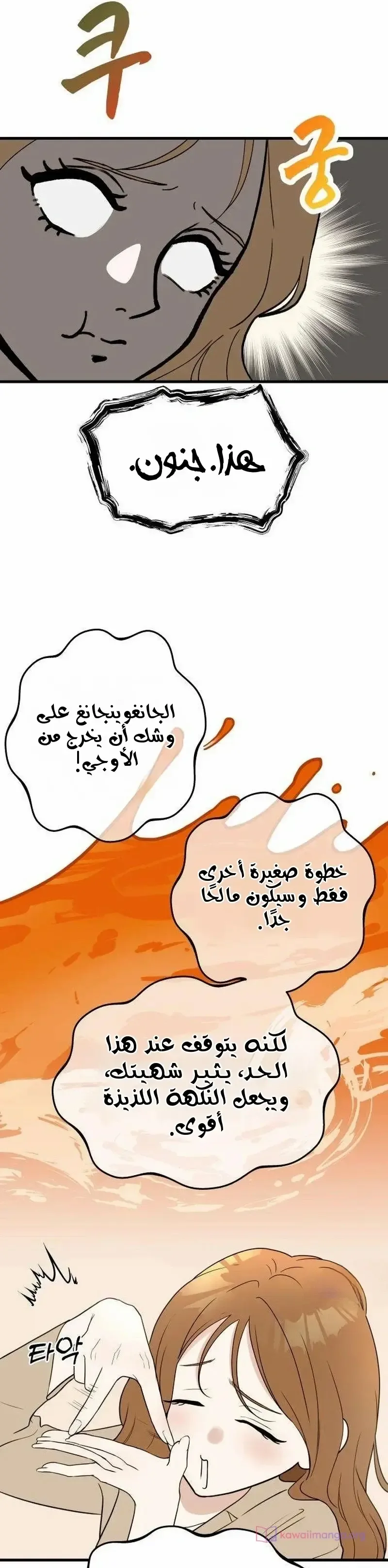 الصفحة 14