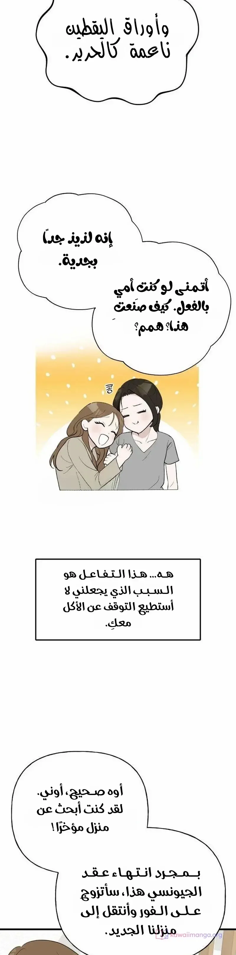 الصفحة 15