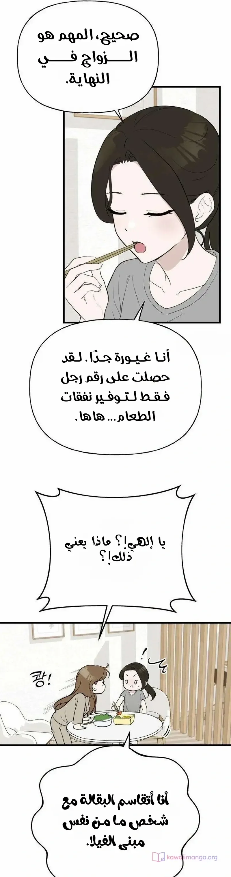 الصفحة 17