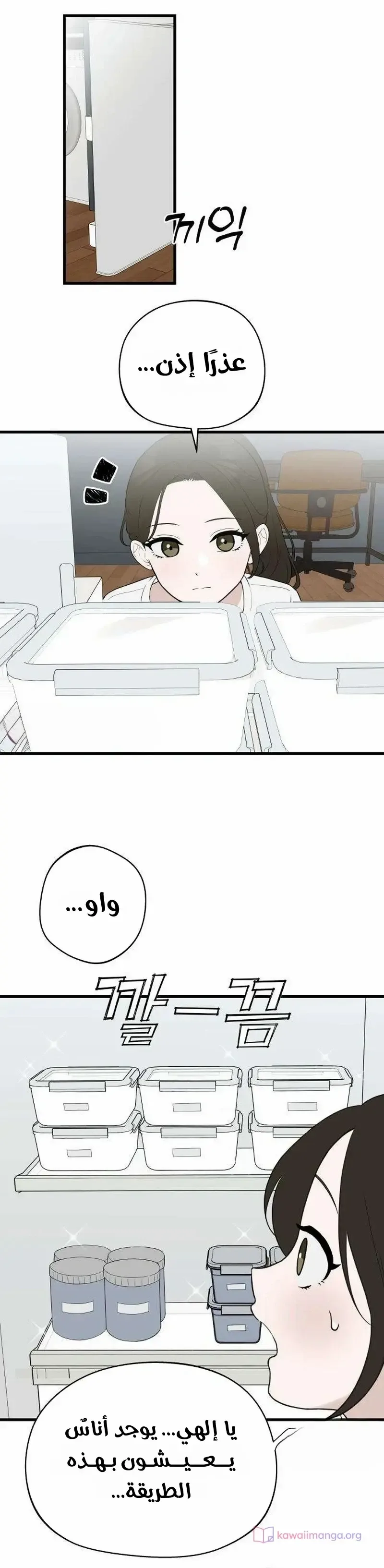 الصفحة 11