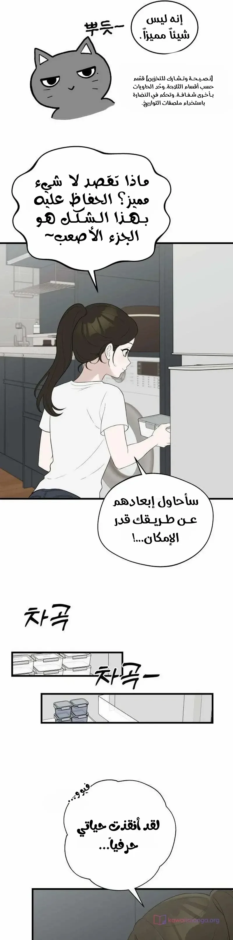 الصفحة 12