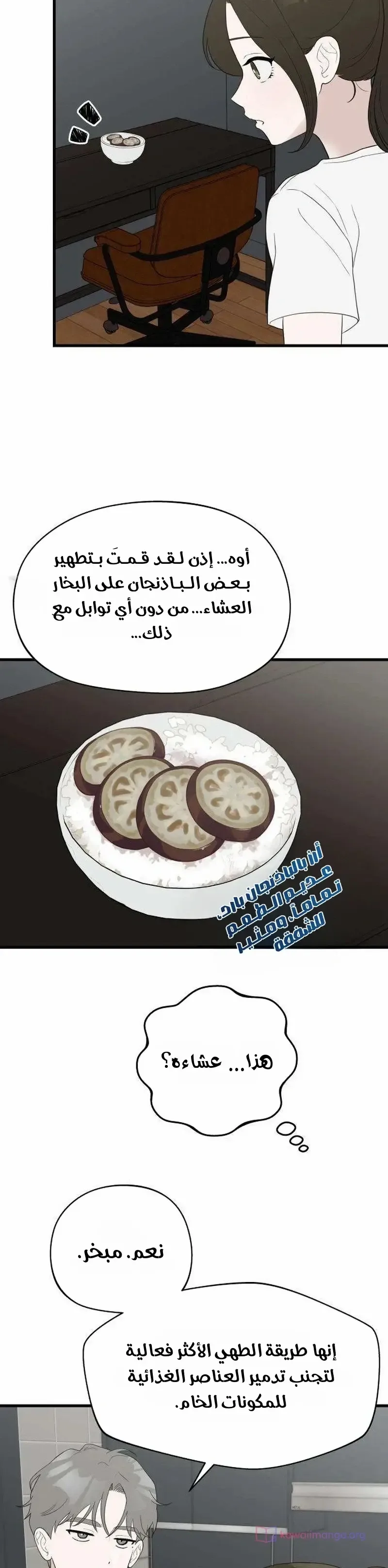 الصفحة 13