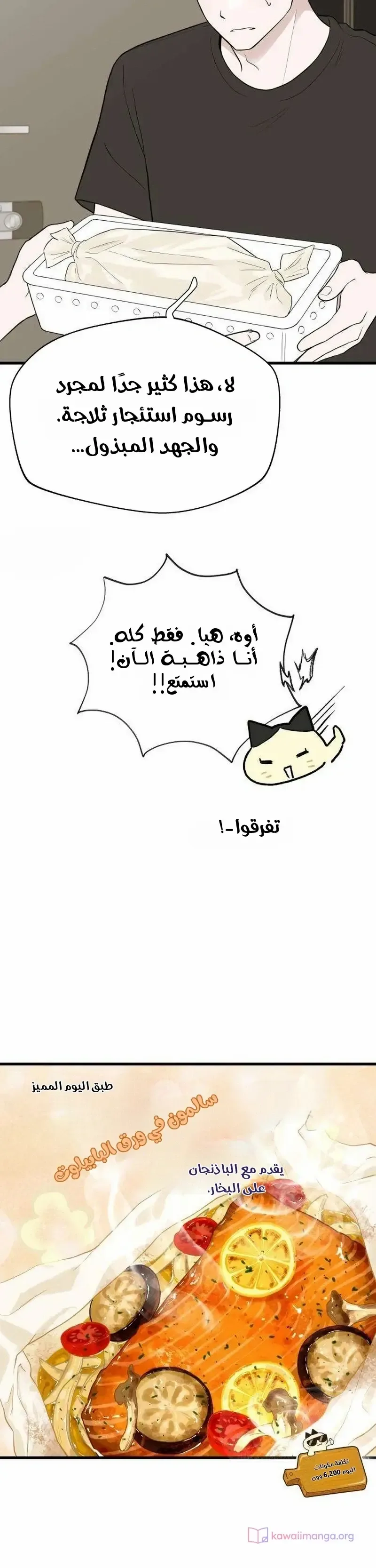 الصفحة 17