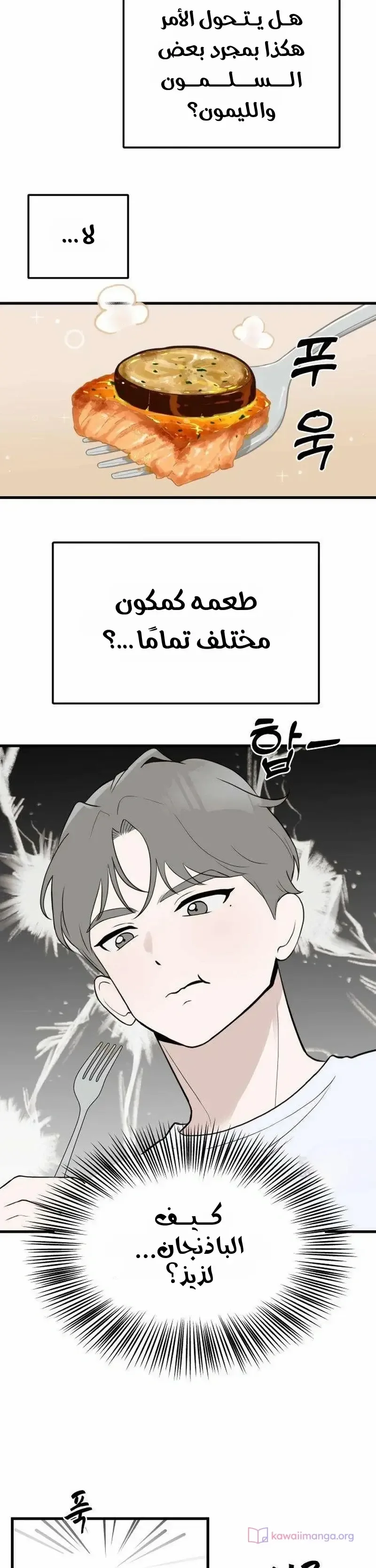 الصفحة 19