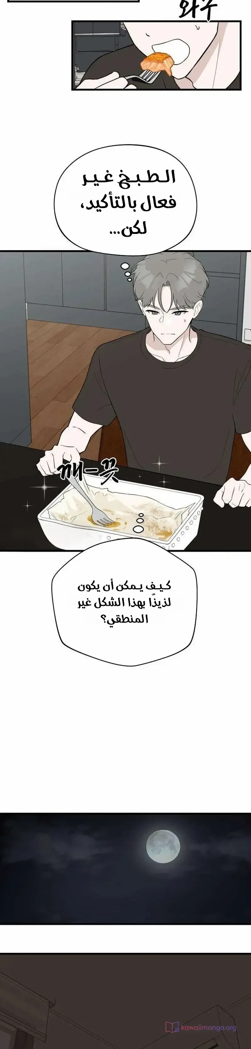 الصفحة 20