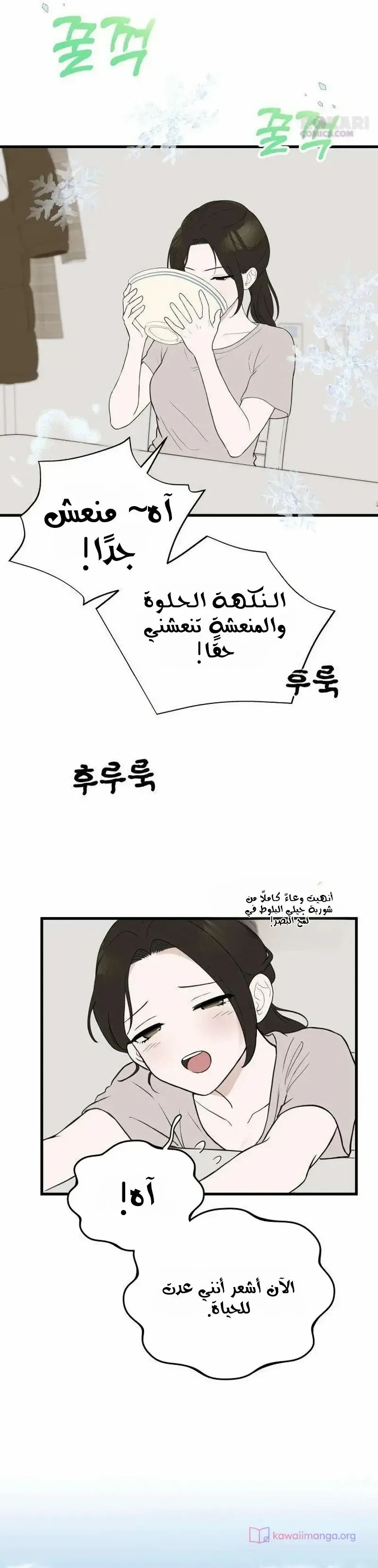 الصفحة 12