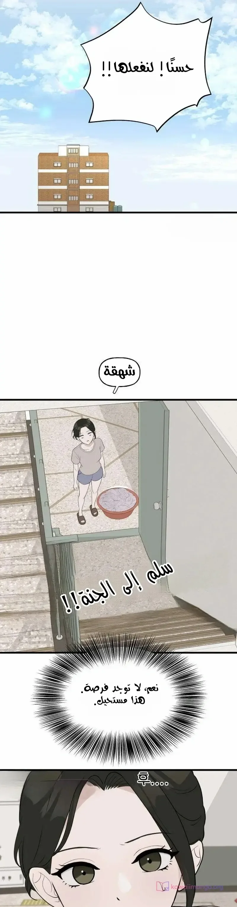 الصفحة 13
