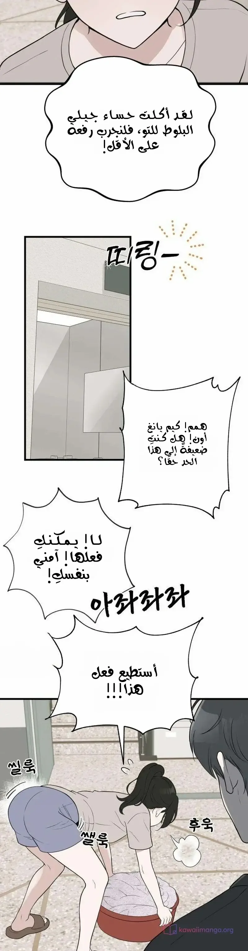 الصفحة 14