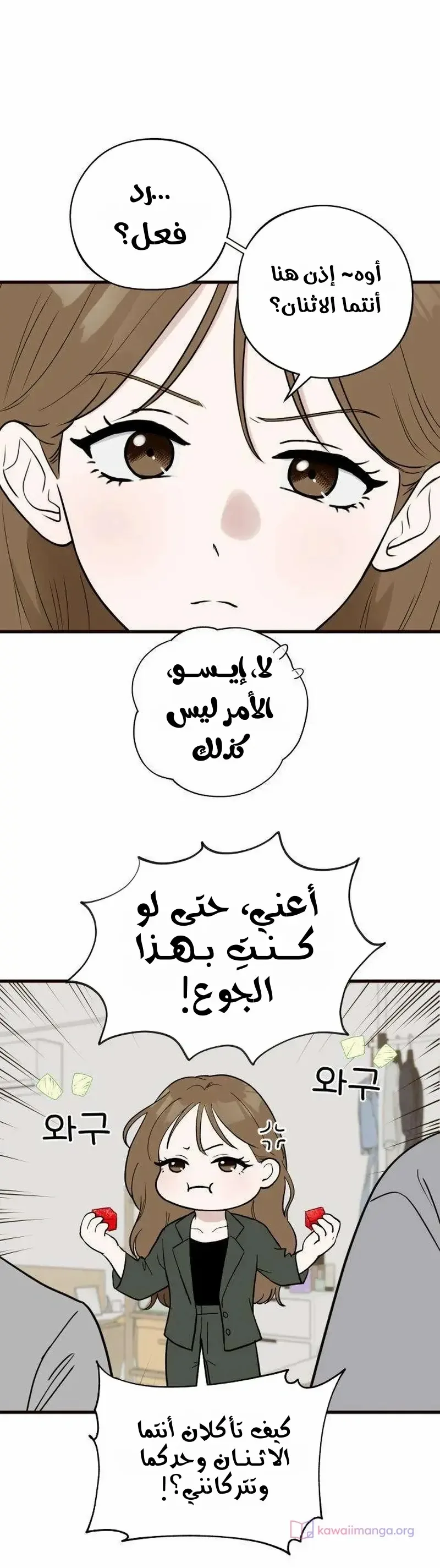 الصفحة 4