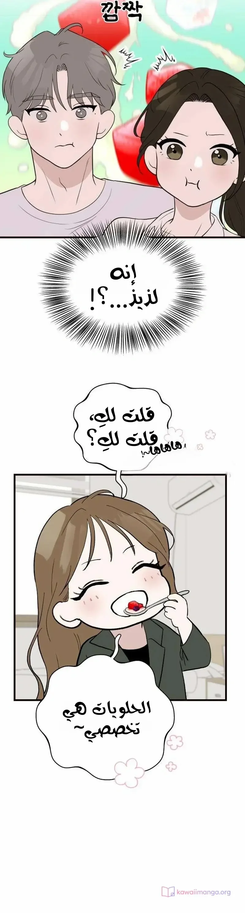 الصفحة 10