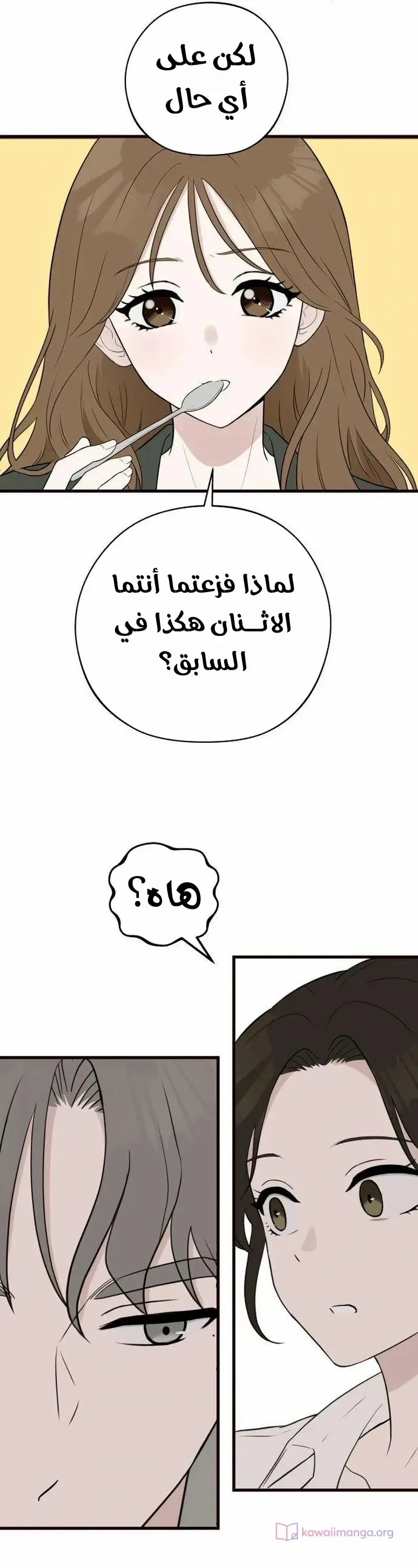 الصفحة 13