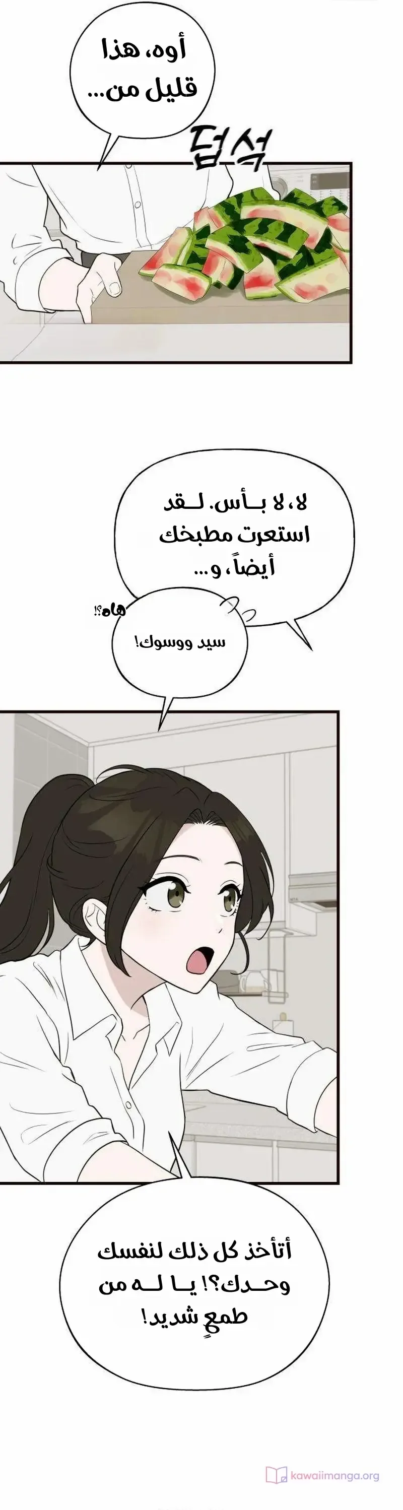 الصفحة 18