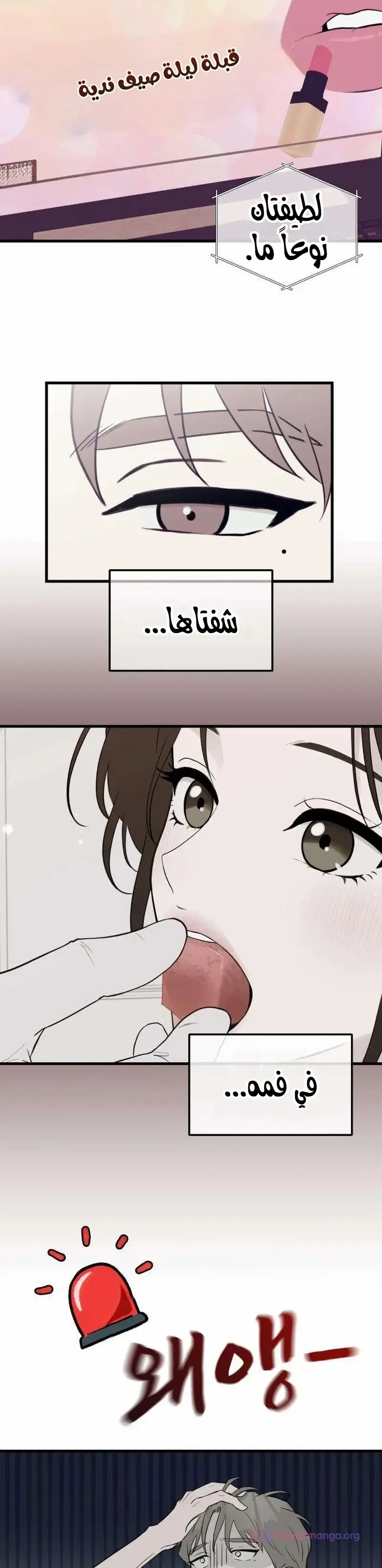الصفحة 13