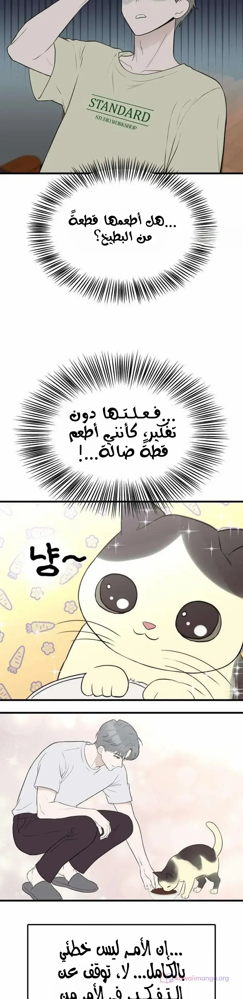 الصفحة 14