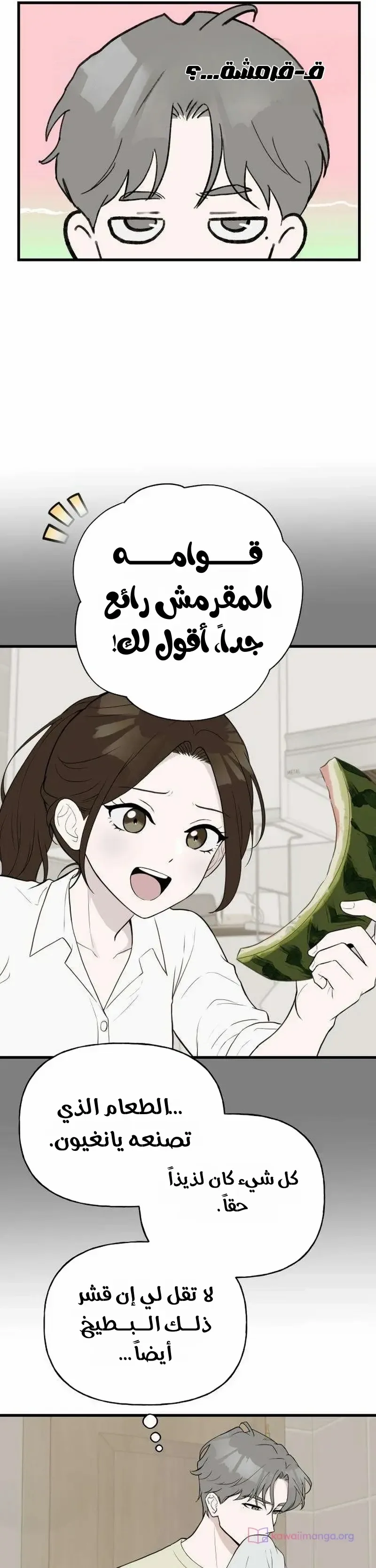 الصفحة 16