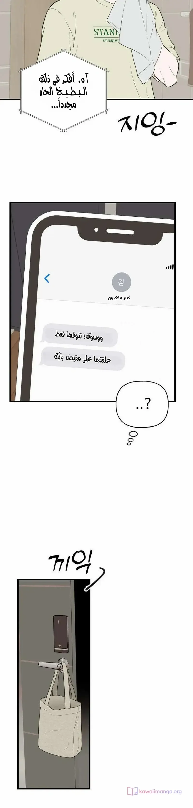 الصفحة 17