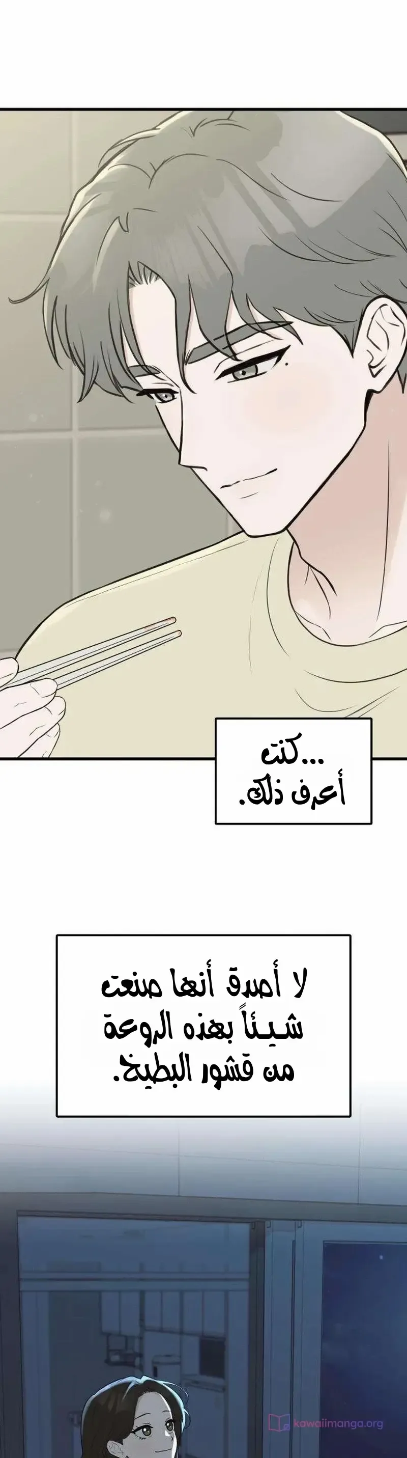 الصفحة 19