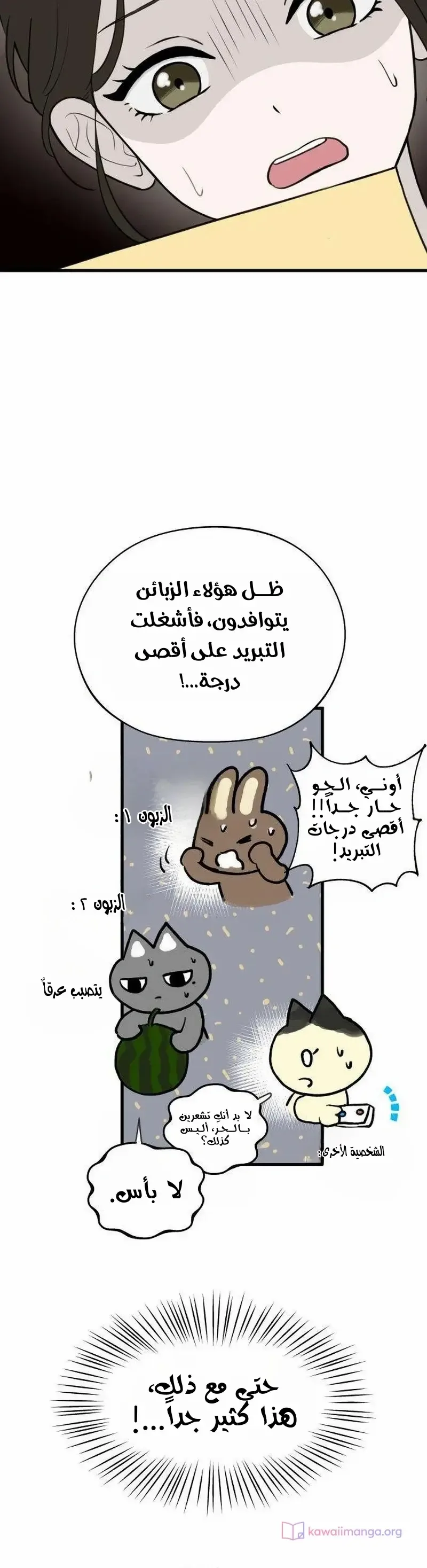 الصفحة 3