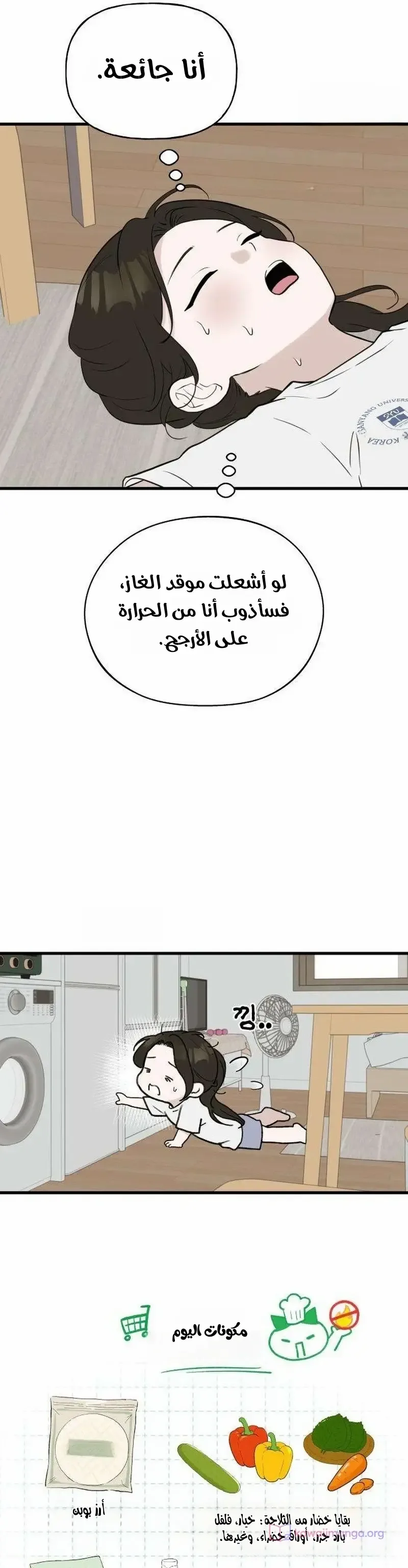 الصفحة 13