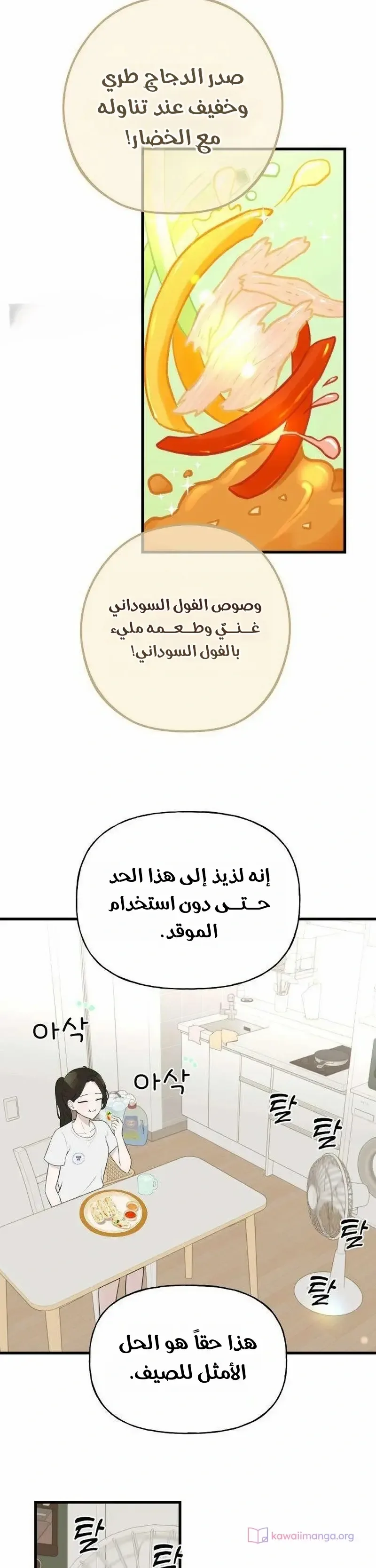 الصفحة 16