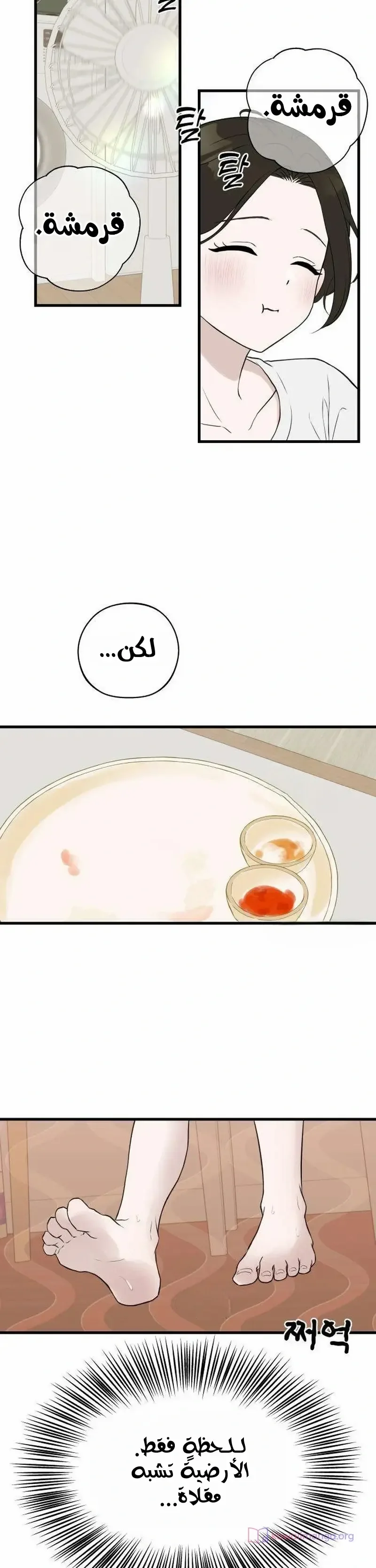 الصفحة 17