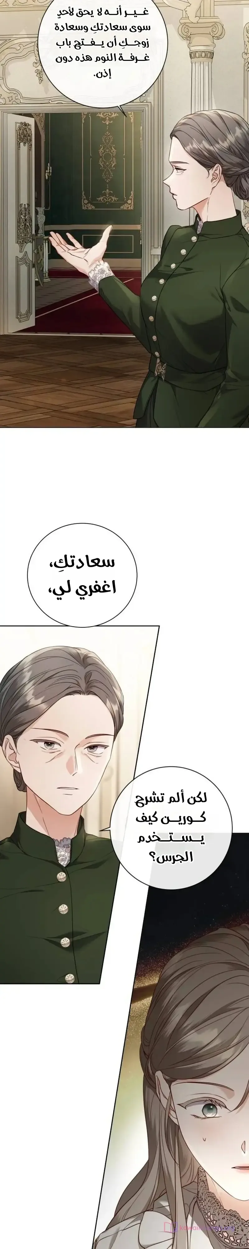 الصفحة 17
