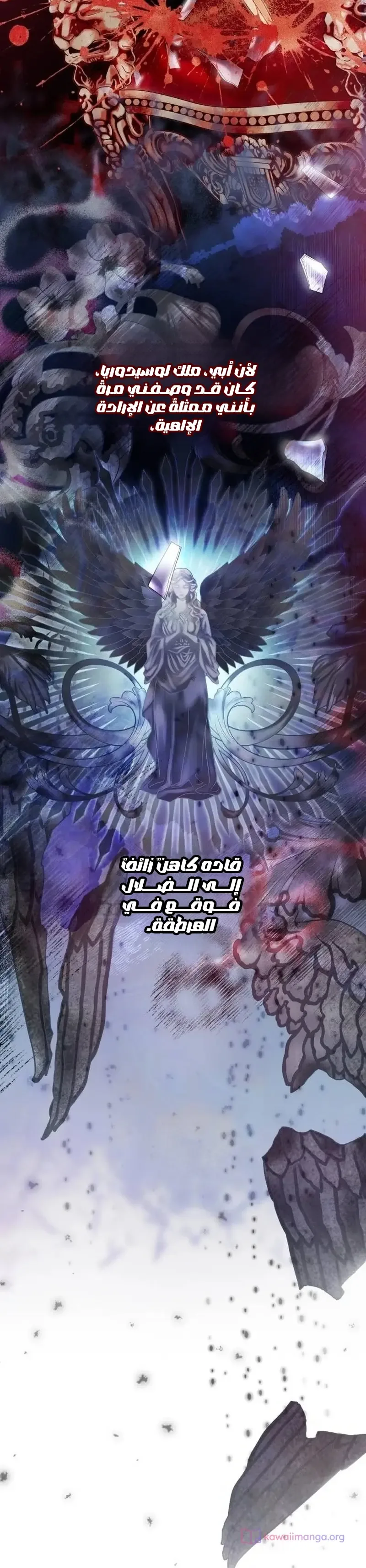 الصفحة 41