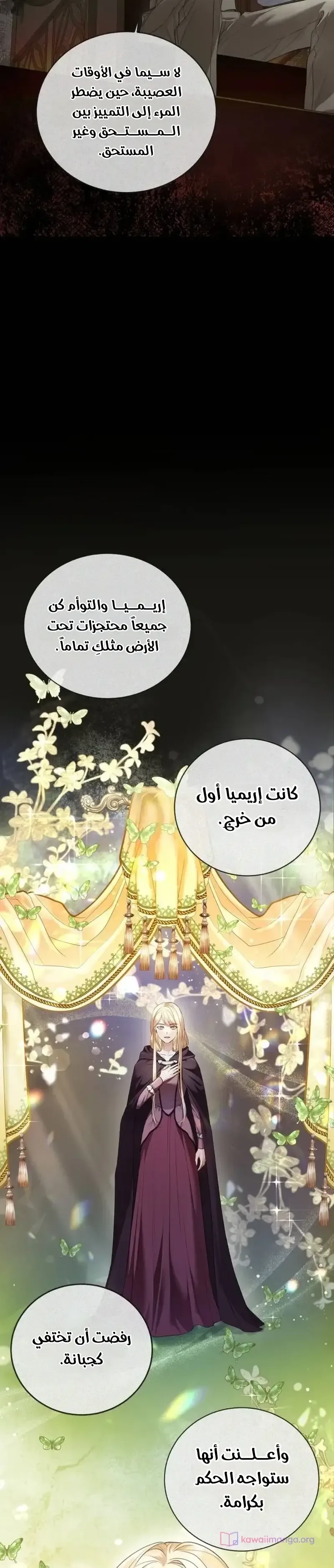 الصفحة 11