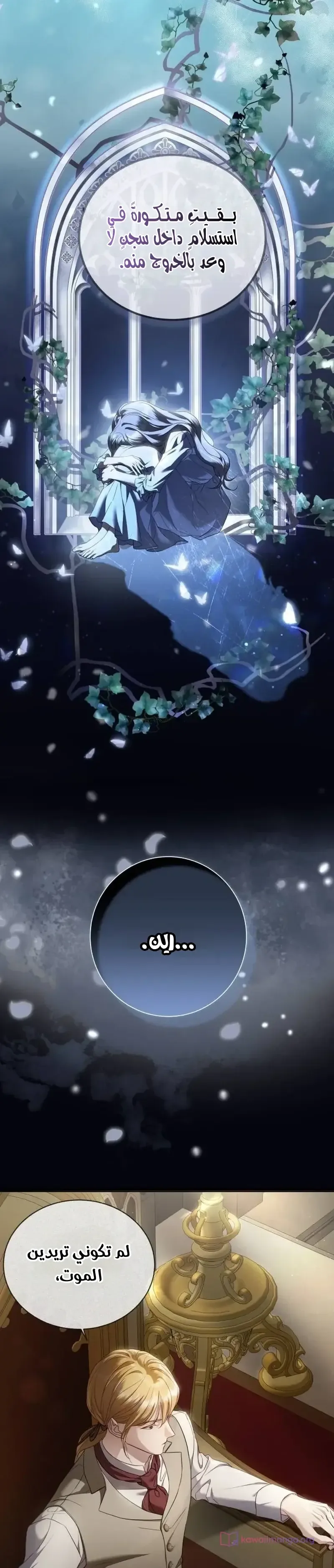 الصفحة 13