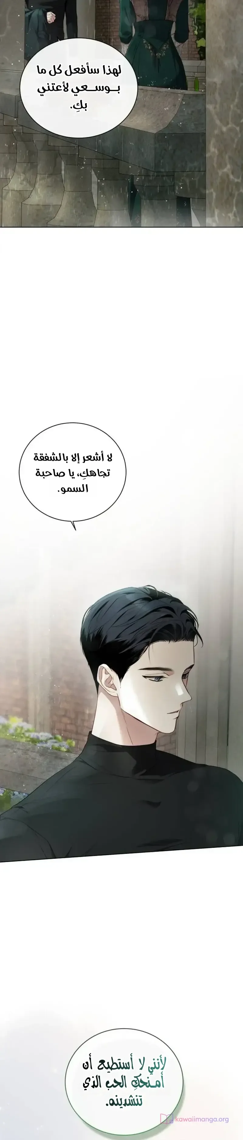 الصفحة 29
