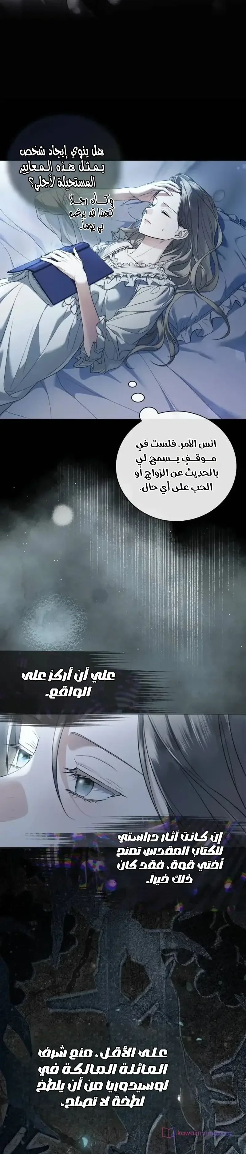 الصفحة 13
