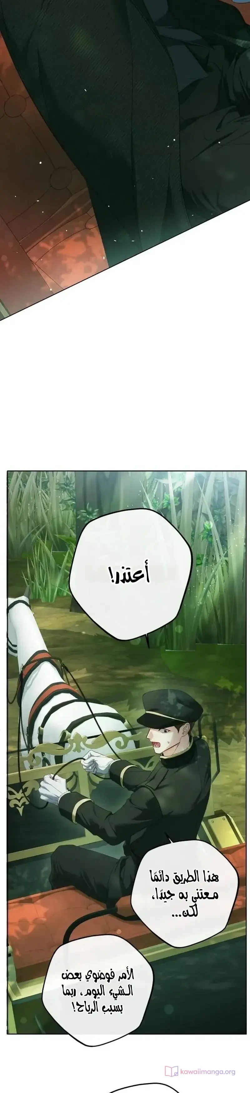 الصفحة 21