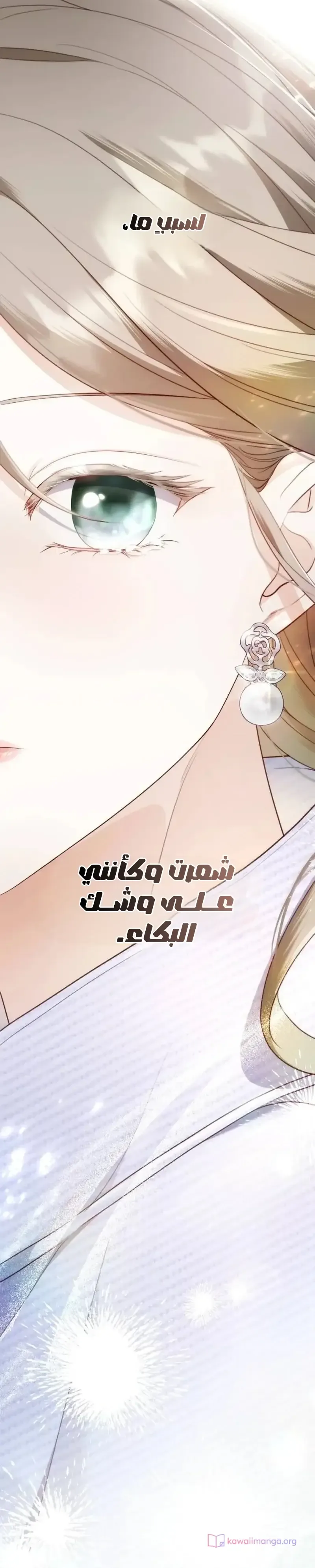 الصفحة 32