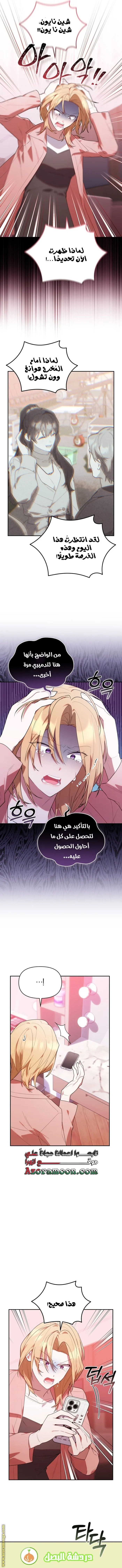 الصفحة 13