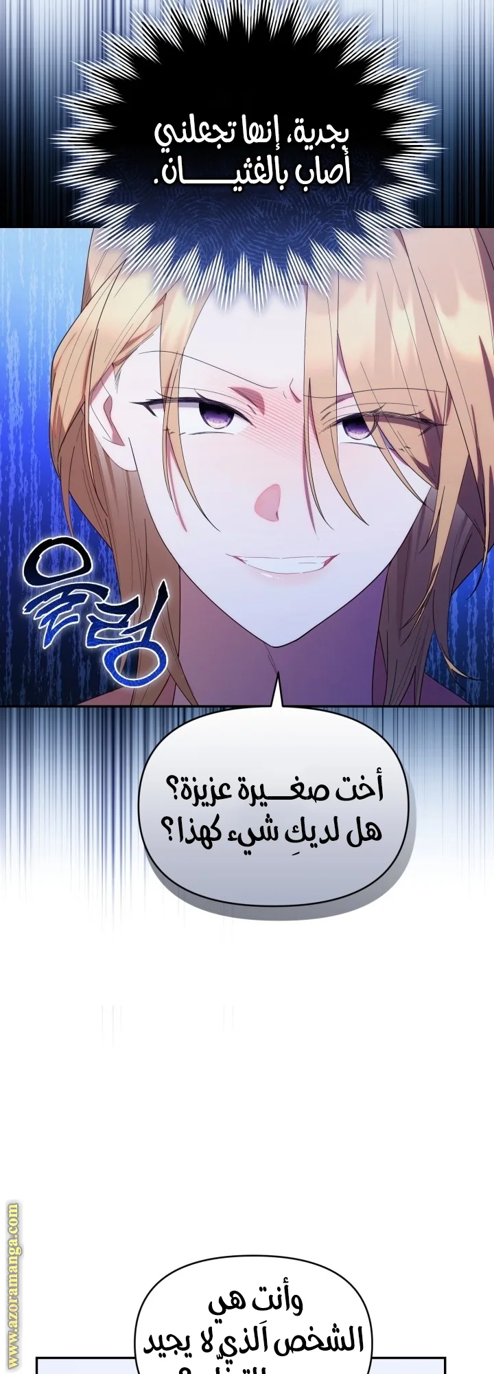 الصفحة 29