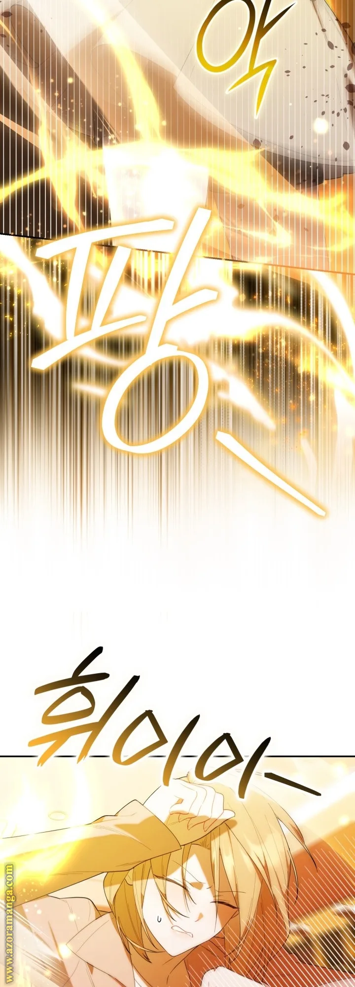 الصفحة 44