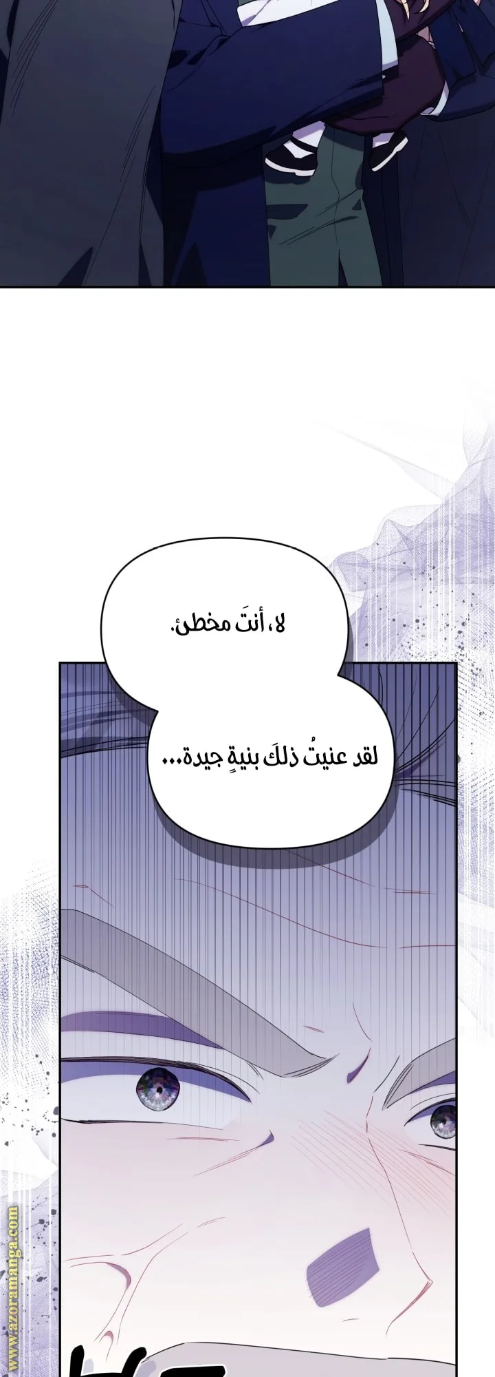 الصفحة 25