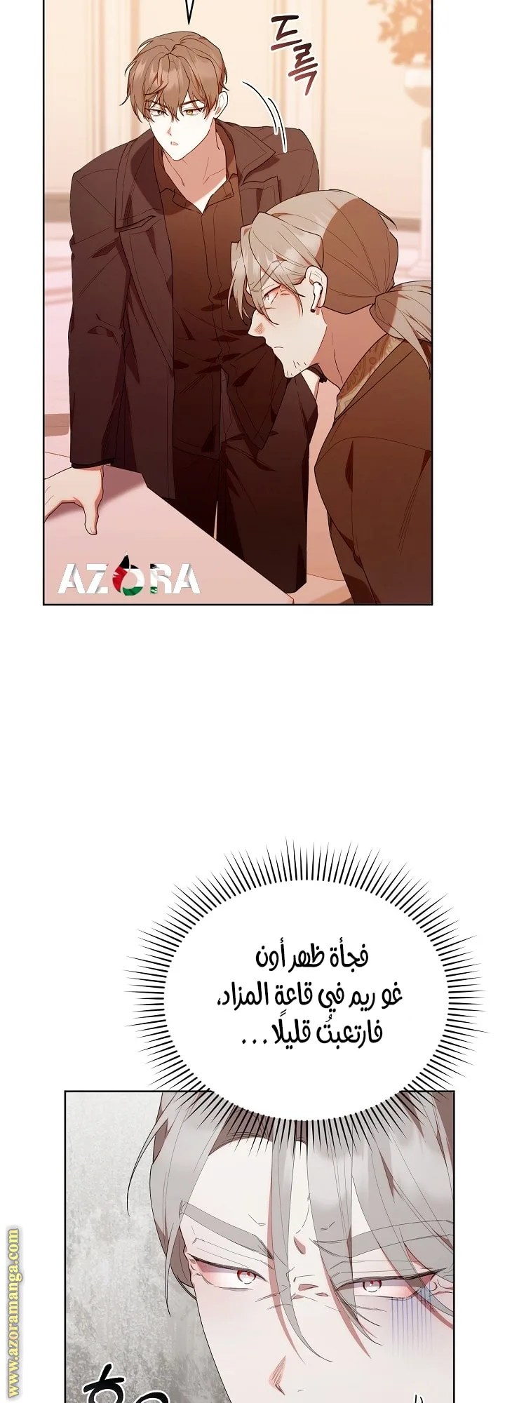 الصفحة 29