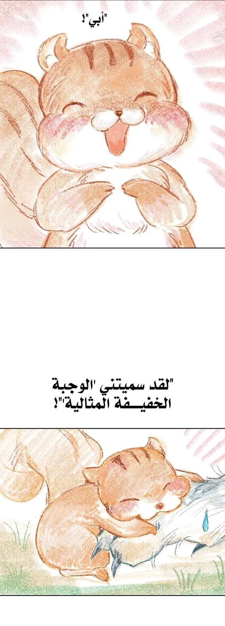 الصفحة 19