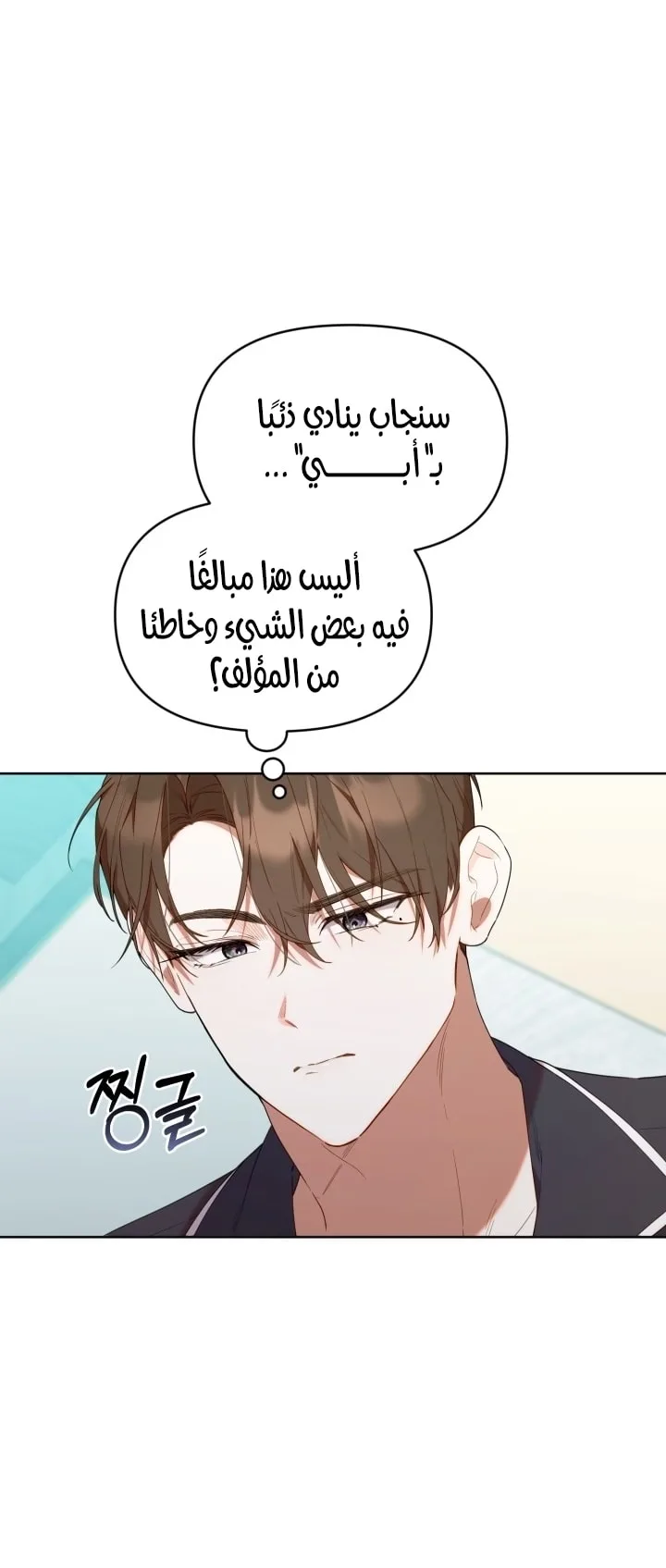 الصفحة 20