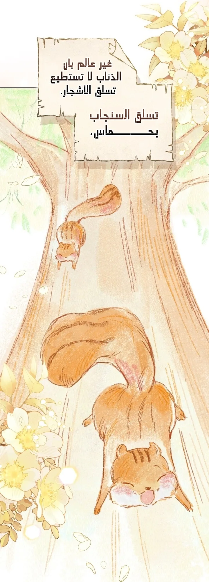 الصفحة 29