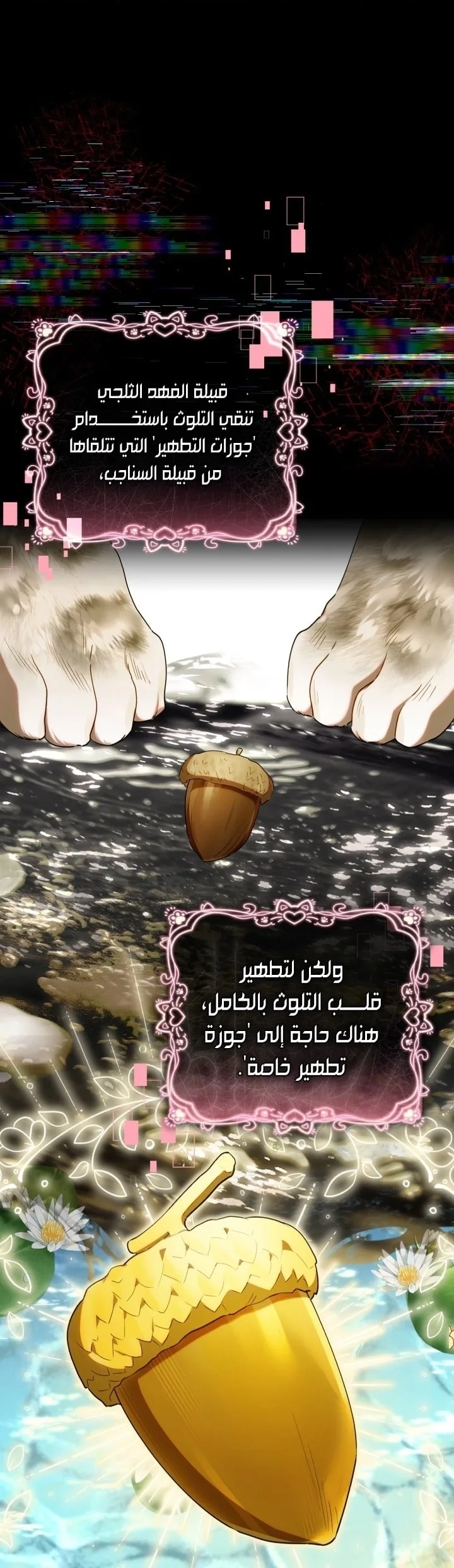 الصفحة 24